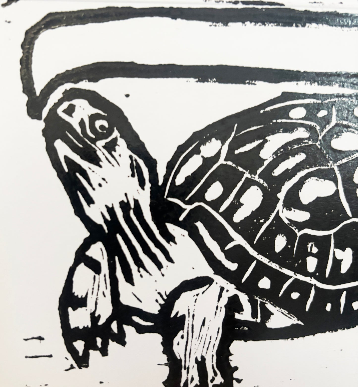 Reptile Cards