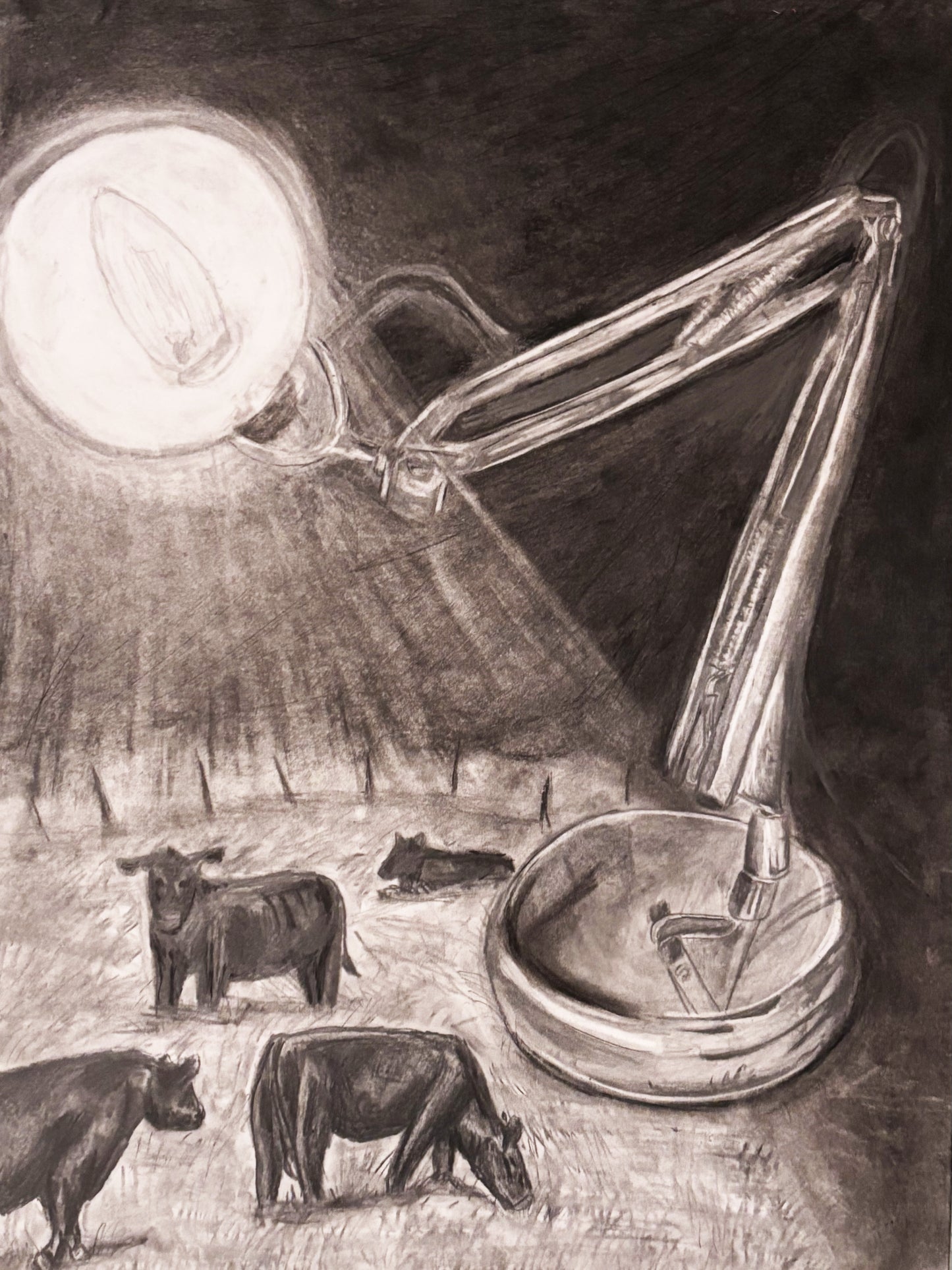 Charcoal and Pencil Drawings